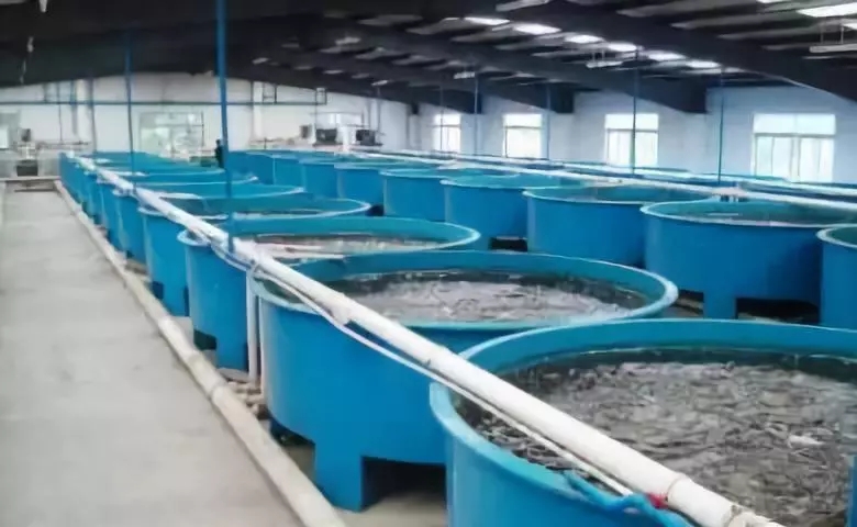 空氣源熱泵恒溫水產養殖 空氣源熱泵恒溫水產養殖